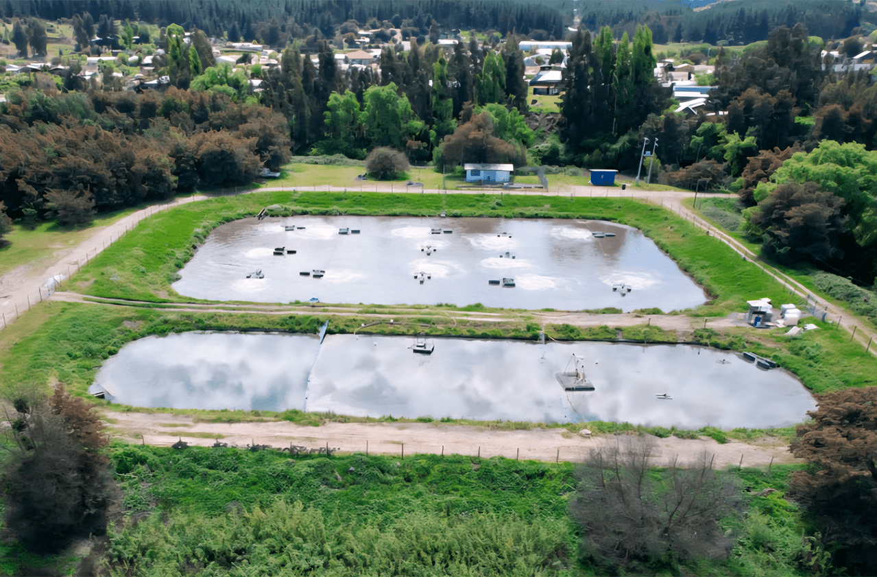 Aumento de Capacidad de las Plantas de Tratamiento de Aguas Servidas de Hualañé 
 