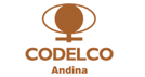 Codelco – División Andina (DAND).